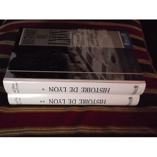 Histoire De Lyon - Des Origines À Nos Jour