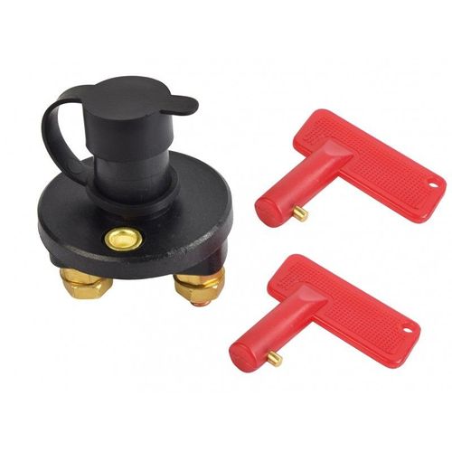 Coupe Batterie 100a 12/24v