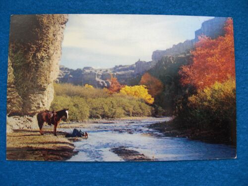 Quenching Thirst Sparkling Crystal Clear Streams Wending Their Way On The Canyon Floor Quench The Thirst Of Man And Beast.