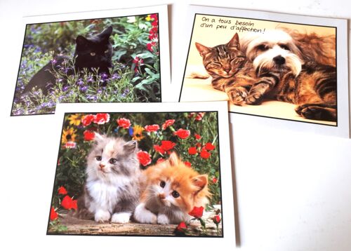 Trois belles images cartonnées 19.5x15cm avec un chat noir + un chien et un chat tigré + deux adorables chatons gris et roux - à encadrer ou pour collection de chats ou plaisir de l'image