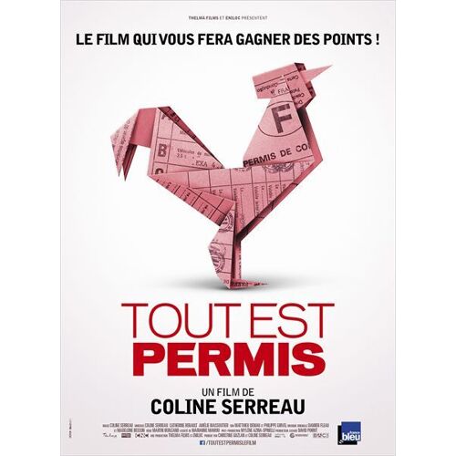 Tout Est Permis - Véritable Affiche De Cinéma Pliée- Format 40x60 Cm - Documentaire De Coline Serreau - 2014