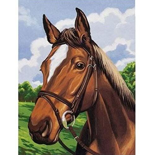 Kit Complet Canevas Cheval (029) Mercerie Couture Broderie Enfant Confection