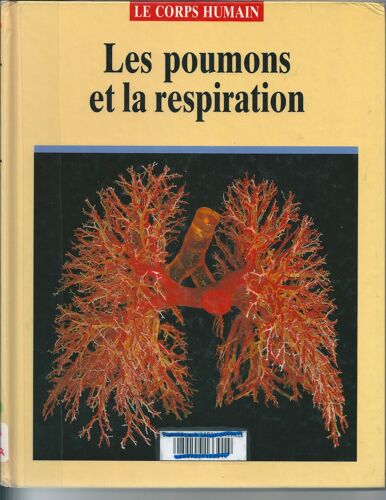 Les Poumons Et La Respiration