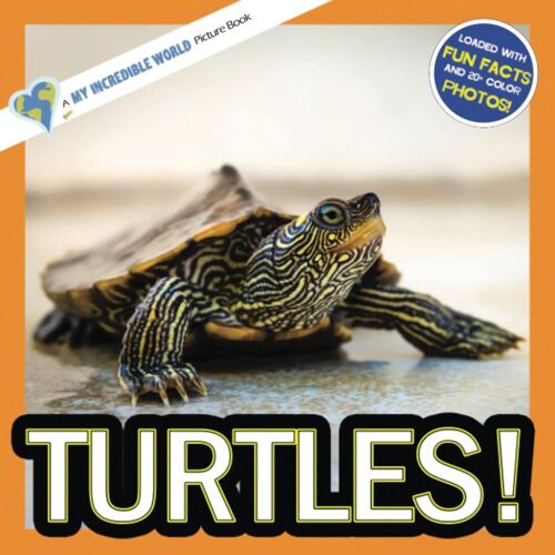 Turtles!: A My Incredible World Picture Book For Children