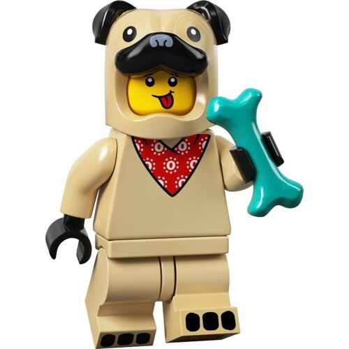 LEGO Série 21 71029 Le déguisement de chien
