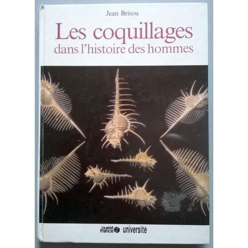 Les Coquillages Dans L'histoire Des Hommes