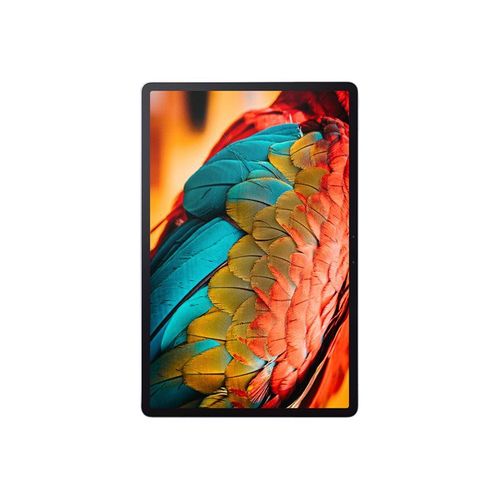 Tablette Lenovo Tab P Pro ZA8M 128 Go 11.5 pouces Gris ardoise