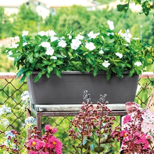 Deroma Jardiniere Rectangulaire Day R Anthracite - 50 Cm