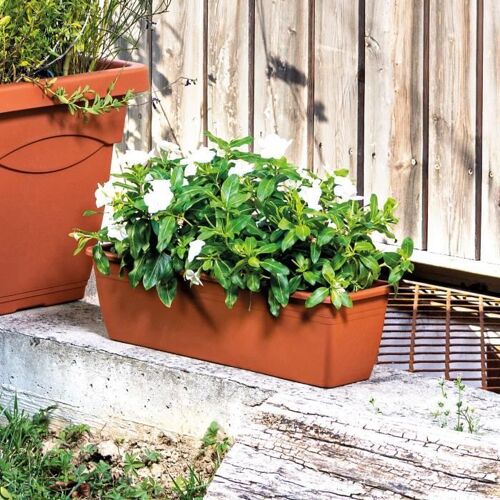 Deroma Jardiniere Rectangulaire Day R Cotto - 40 Cm