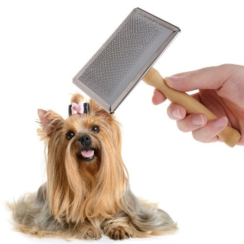 Peigne De Toilettage De Haute Qualité Pour Animaux De Compagnie, Élimine Les Poils, Brosse Avec Manche En Bois, Fourniture Pour Chien Et Chat