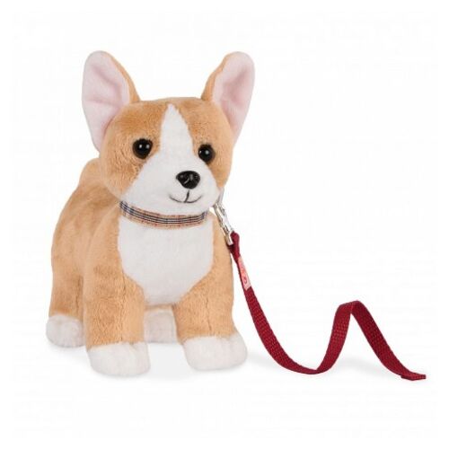 Our Generation - Chien Corgi