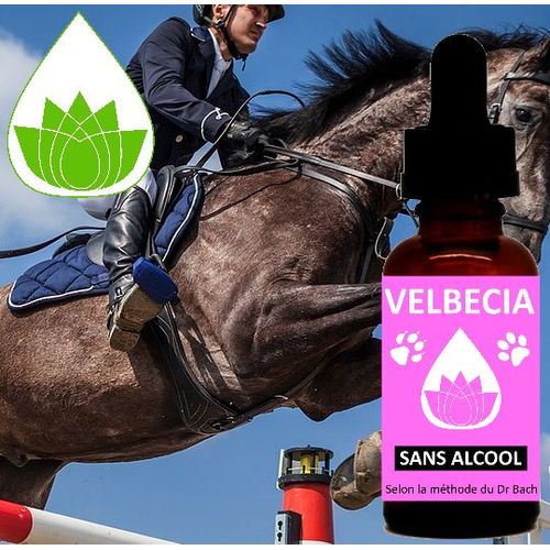 Velbecia® - Fleurs De Bach Animal Compétition (Cheval, Chien, Chat) Sans Alcool (30 Ml) 