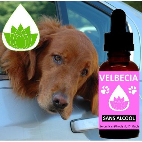 Velbecia® - Fleurs De Bach Peur Des Transports Sans Alcool (30 Ml) 