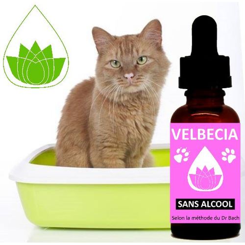 Velbecia® - Fleurs De Bach Propreté (Chat, Chien, Oiseau) Animaux Sans Alcool (30 Ml)  