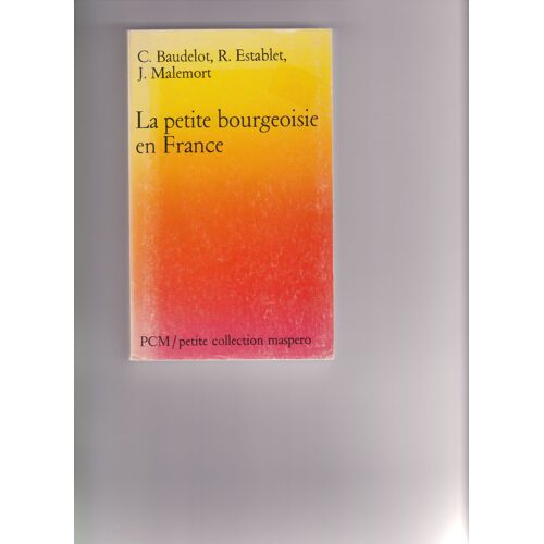 La Petite Bourgeoisie En France