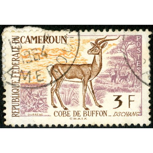 Timbre Oblitéré République Fédérale Du Cameroun, Cobe De Buffon, 3 F