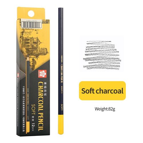 Ensemble De Crayons Professionnels En Bois De Charbon De Bois, 12 Pièces, Pour Croquis, Dessin, Crayons En Bois Doux/Moyen/Dur, Fournitures Artistiques Pour Étudiants Artistes