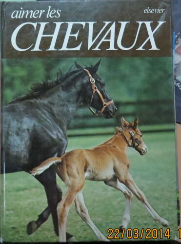 Aimer Les Chevaux
