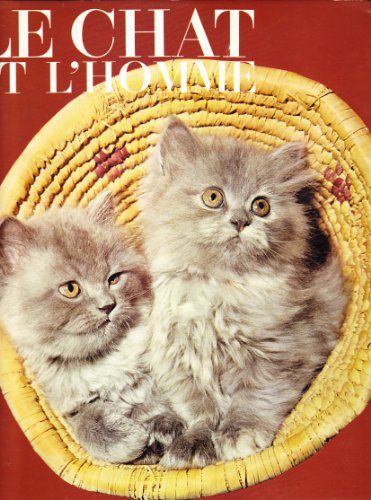 Le Chat Et L'homme