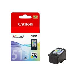 Canon CL-513 - Couleur (cyan, magenta, jaune) - originale - coque avec sécurité - réservoir d'encre - pour PIXMA MP230, MP237, MP252, MP258, MP272, MP280, MP282, MP495, MP499, MX360, MX410, MX420
