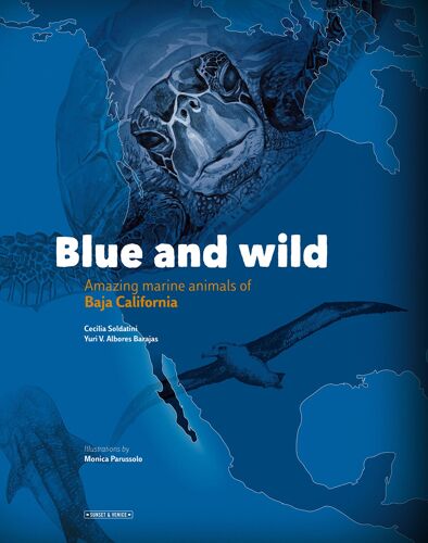 Blue And Wild: Amazing Marine Animals Of Baja California