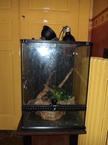Vivarium Et Accessoire