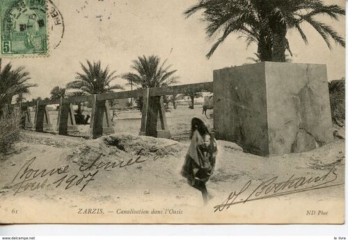 Cpa Tunisie. Zarzis. Canalisation Dans L Oasis 1906