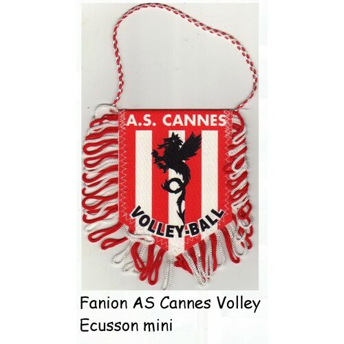 Fanion As Cannes Volley Ecusson Mini