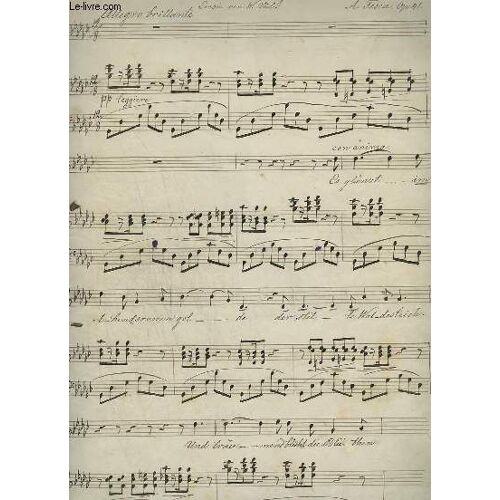 Partition Manuscrite : Im Frühling - Piano Et Chant En Allemand Op.41.