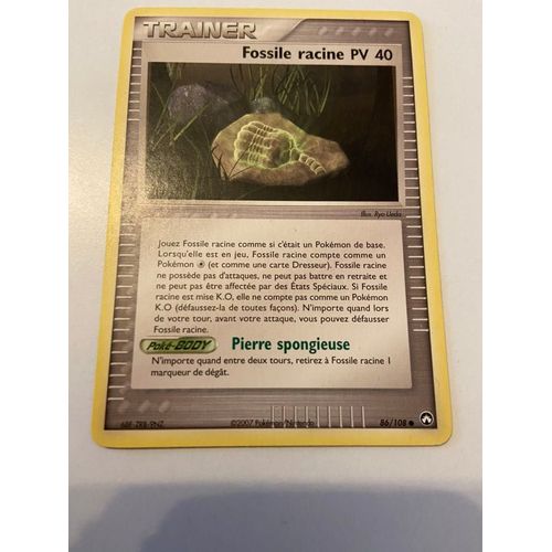 Fossile Racine Pv 40 86/108 Set Ex Gardiens Du Pouvoir Fr