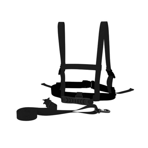 Ceinture De Sécurité Pour Enfant En Bas Âge, Accessoire De Traction, Pour Le Snowboard, Le Patinage, Le Ski Et L'entraînement, Livraison Gratuite