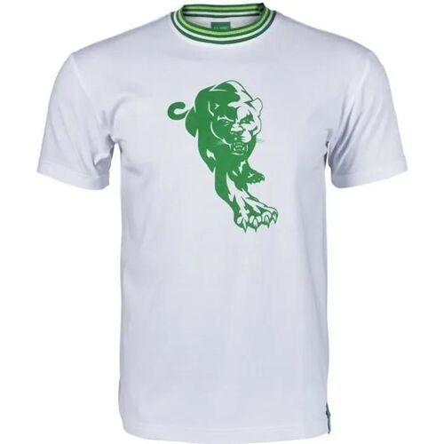 4 Ans - T-Shirt - Asse - Collection Officielle - Blanc - Manches Courtes - Enfant Garçon