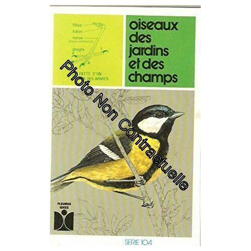 Oiseaux Des Jardins Et Des Champs