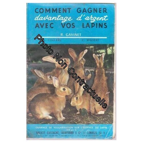 Comment Gagner Davantage D'argent Avec Vos Lapins