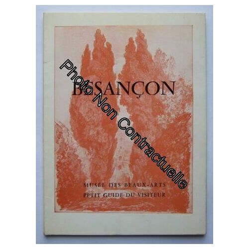 Besançon/ Musée Des Beaux-Arts/ Petit Guide Du Visiteur