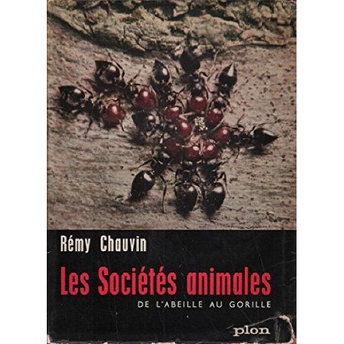 Les Sociétés Animales De L'abeille Au Gorille