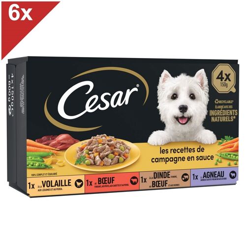 Cesar 24 Barquettes En Sauce 4 Variétés Pour Chien 150g (6x4)