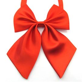 Fête Noeud Papillon Noeud Papillon Polyester Soie Noeud Papillon Banquet Femmes Dames Filles Gris Bc003--22
