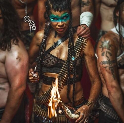 Shaka Ponk - Vinyle 33 Tours