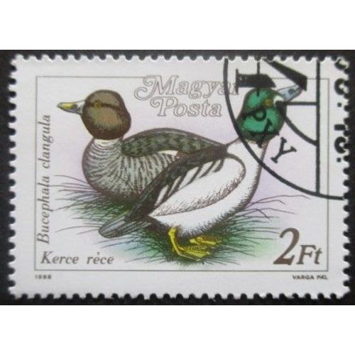 Hongrie N°3172 Canards Oblitéré
