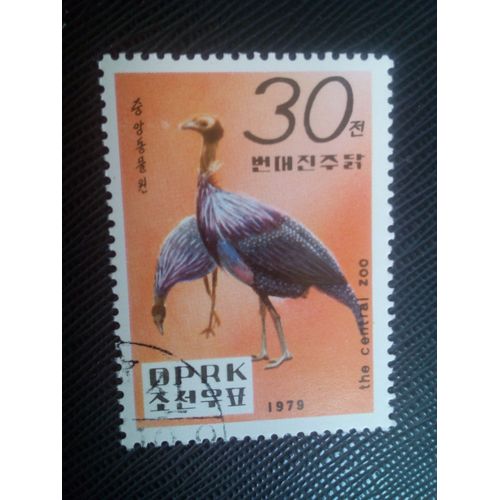 Timbre Coree Du Nord Yt 1547 Pintade Vulturine (Acryllium Vulturinum) 1979 ( 10605 )