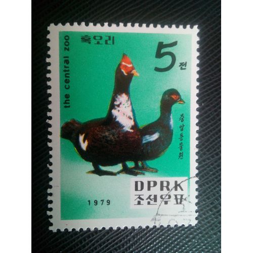 Timbre Coree Du Nord Yt 1543 Canard De Barbarie (Cairina Moschata) 1979 ( 10605 )