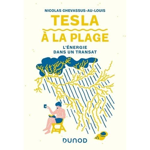 Tesla À La Plage - L'énergie Dans Un Transat