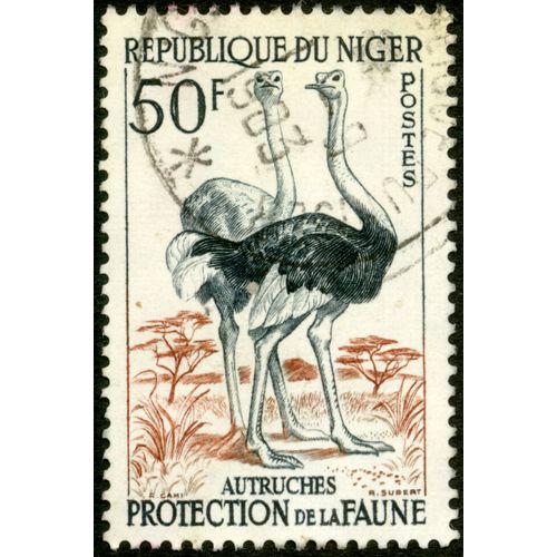 Timbre Oblitéré République Du Niger, Postes, Autruches, Protection De La Faune, 50 F