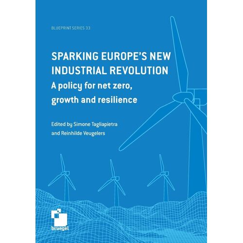 Sparking Europe's New Industrial Revolution
