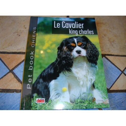 Le Cavalier King Charles