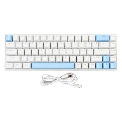 Gaming Keyboard USB 68 Keys Blue Switch N Key Rollover 10 RGB Backlit Modes Wired Keyboard for Desktop Laptop White Blue