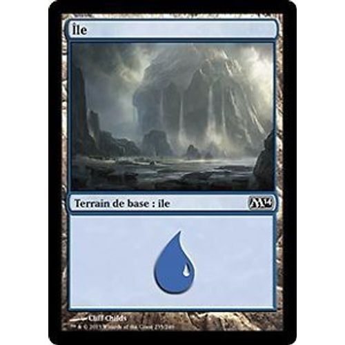 Lot De 40 Cartes De Terrain De Base - Ile