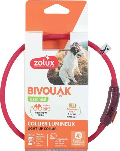 Collier Lumineux Pour Chiots Bivouak