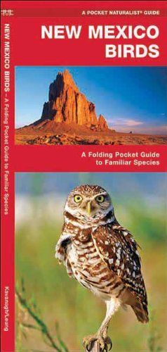 New Mexico Birds